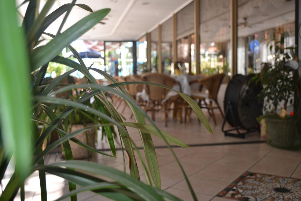 Hotel Alfredo'S 리미니 외부 사진